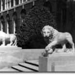 Fun Myth – The University of Cincinnati Has Stone Lions That Roar When A Virgin Walks By