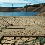 Thanks, Environmentalists: During A California Drought, Laws Require So Much Water Flow The Stanislaus River Is Dangerous